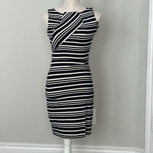 Cremieux Sleeveless Shift Dress features a classic design.